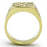 TK1189 - Stainless Steel Ring IP Gold(Ion Plating) Men Top Grade Crystal Clear