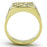 TK1189 - Stainless Steel Ring IP Gold(Ion Plating) Men Top Grade Crystal Clear